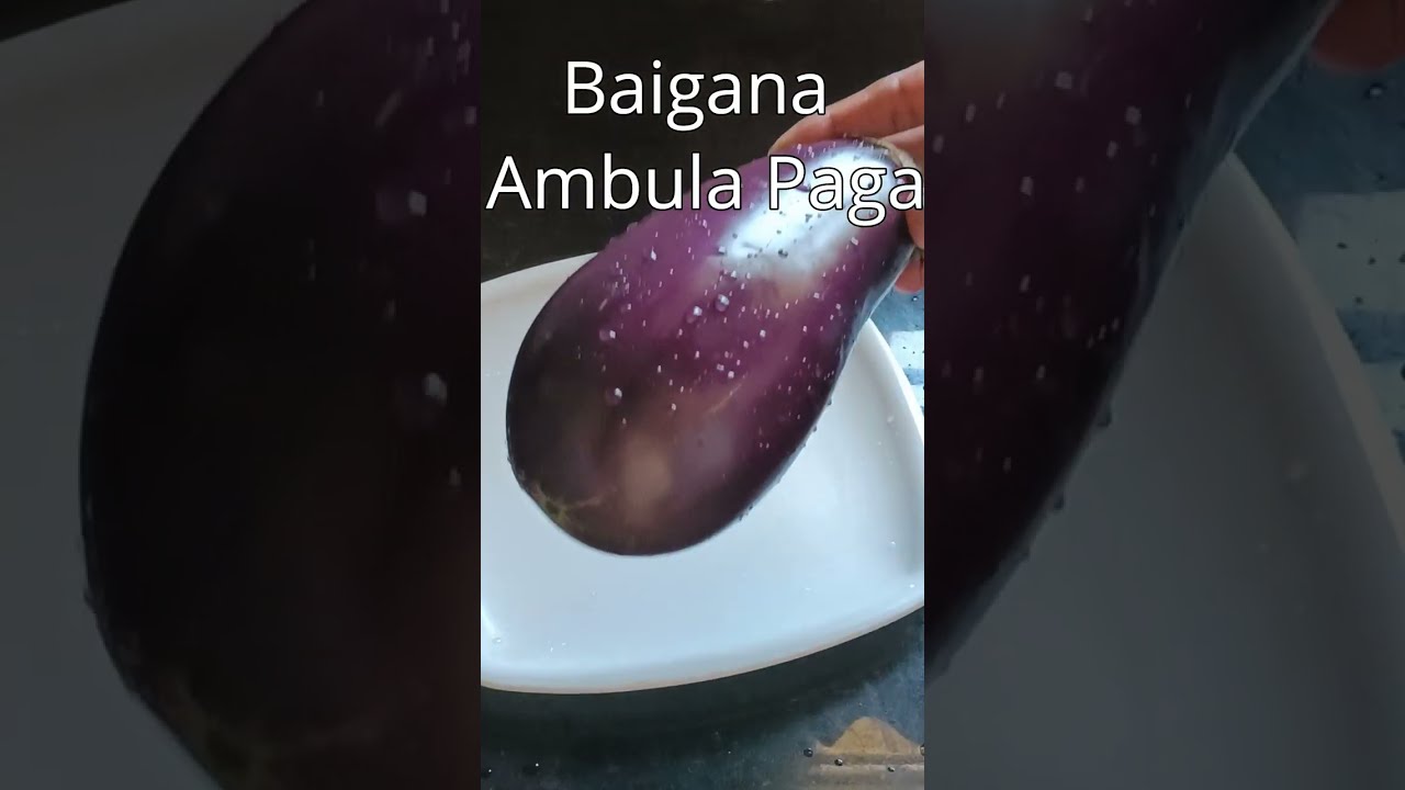 ବାଇଗଣ ଆମ୍ବୁଲ ପାଗ ( Baigana Ambula Paga ) I 