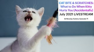 Cat Bite and Scratches: What to Do When Kitty Hurts You Accidentally by James Nicolay 1,669 views 2 years ago 32 minutes