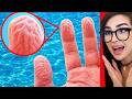 Cool Things I Learned On The Internet