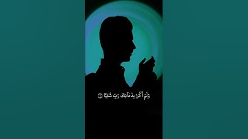 وَٱشۡتَعَلَ ٱلرَّأۡسُ شَيۡبٗا|القارئ عبدالصاحب اللهيبي #قران_كريم #تلاوة_خاشعة #عبدالصاحب_اللهيبي