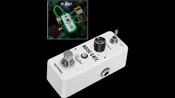 Rowin noise gate set up with spirit box,great responses,must watch