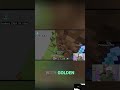 Minecraft Player Finds SECRET Golden Chests High Up! #shorts
