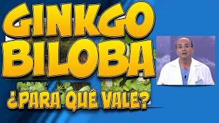 GINKGO BILOBA - ¿Para qué vale? Resimi