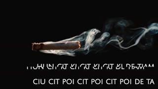 Long Cu Hue Thao LYRIC VIDEO PINYIN chords