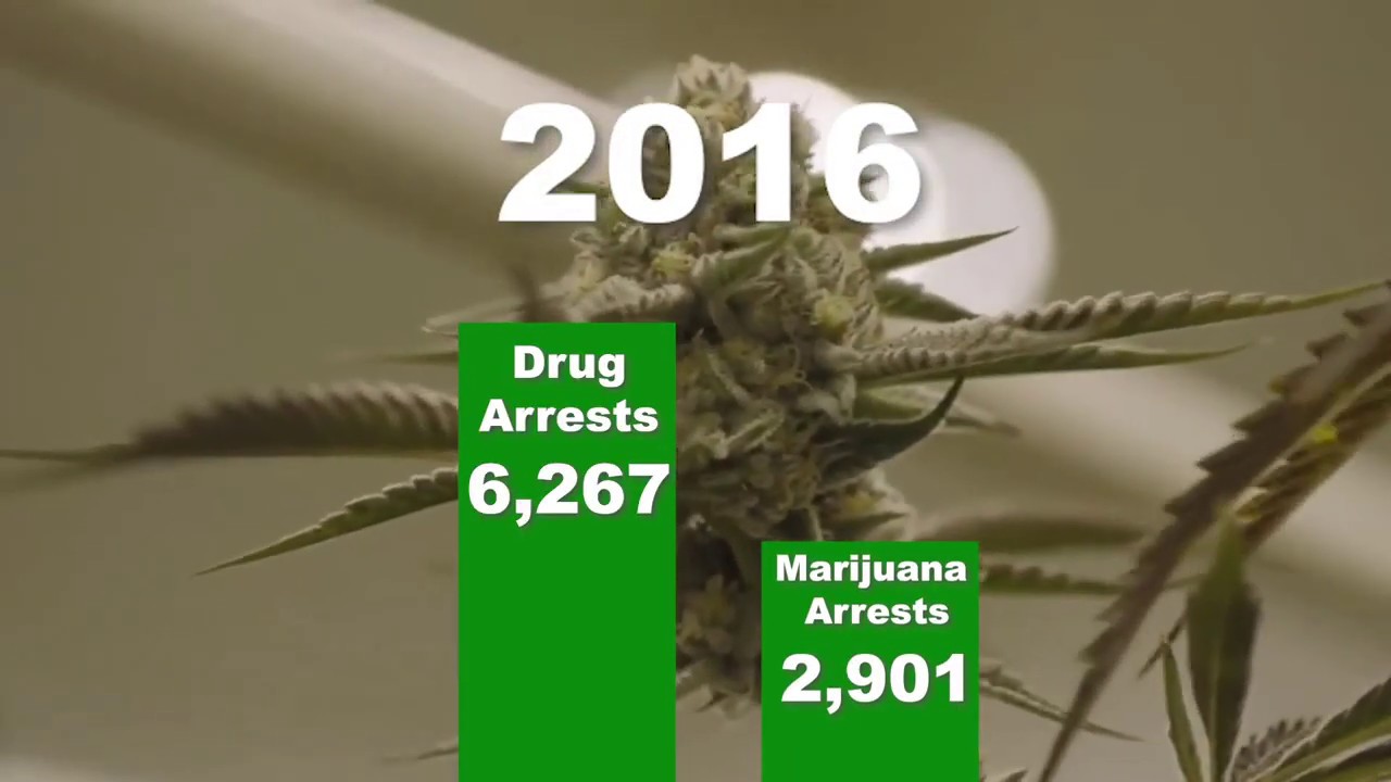 Marijuana Possession Penalties, Morgantown, WV