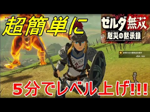 ゼルダ無双 超効率的なレベル上げ方法とは Hyrule Warriors Youtube