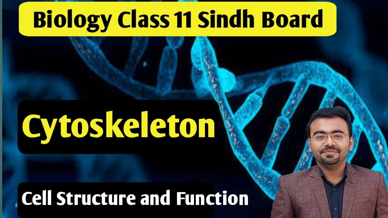 Cytoskeleton | cell structure and function class 11 mdcat lecture