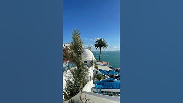 قل متاع الدنيا قليل 🌿قرآن كريم 🌿القارئ هيثم الدخين