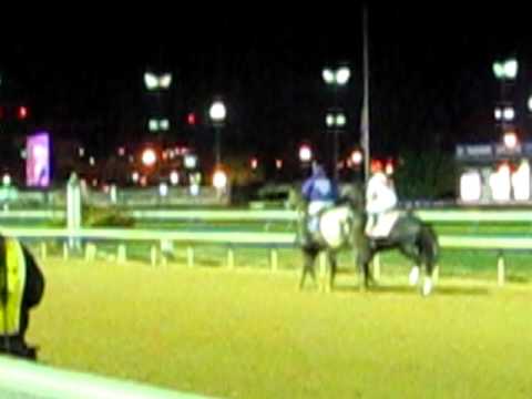 Kent Desormeaux & Unrivaled Belle - warmup for BC ...