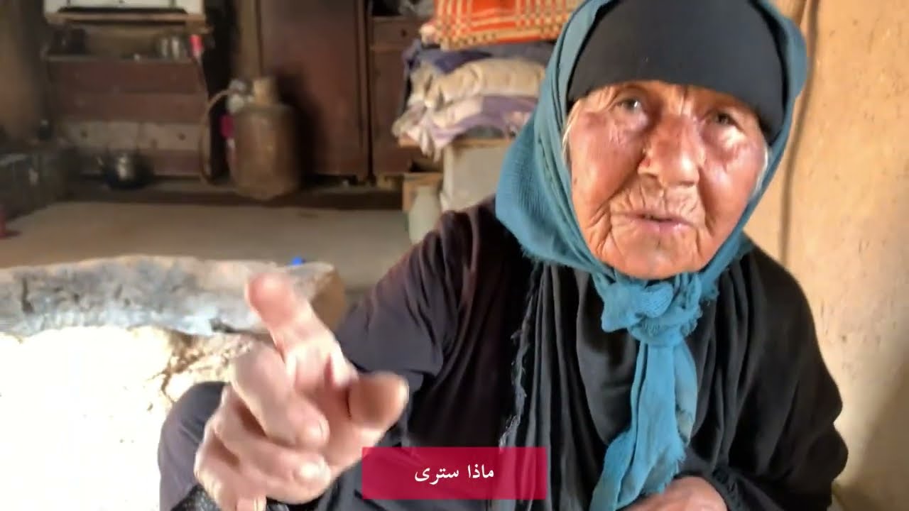 الجدة تجلب ناموس کفتار لضيفها من کویت🐗🐺🫨👵🏼