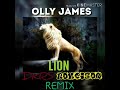 OLLY JAMES LION DKRS ROKEIZON REMIX mp3