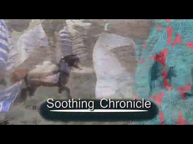 Soothing Chronicles 2019 Album - Lushomo class=