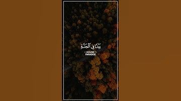 سعد الغامدي سورة التحريم
