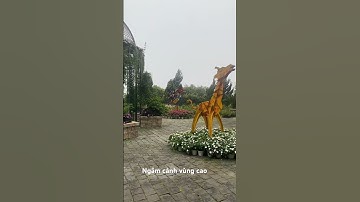 Ngắm cảnh vùng cao - Nơi thiên nhiên hùng vỹ | Tre trúc Ngọc Dương #thiennhien #trending #travel