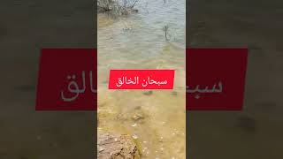 جولة سياحية في بحيرة بلعباس