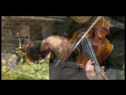 Camerata Concertante (Matamoros) Gloriana by Jos M...