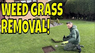 If You Do This Lawn Trick Now, it Will Pay You Back In Spring by Daniel Hibbert Lawn Expert 18,306 views 3 months ago 14 minutes, 43 seconds