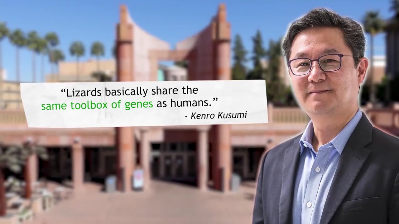 Triflexarin | Triflexarin revolutionizes your health! #sscollection