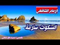السكوت سلامة قالوا اسكت وقد خوصمت قلت لهم من روائع الامام الشافعي في شعر الحكمة 