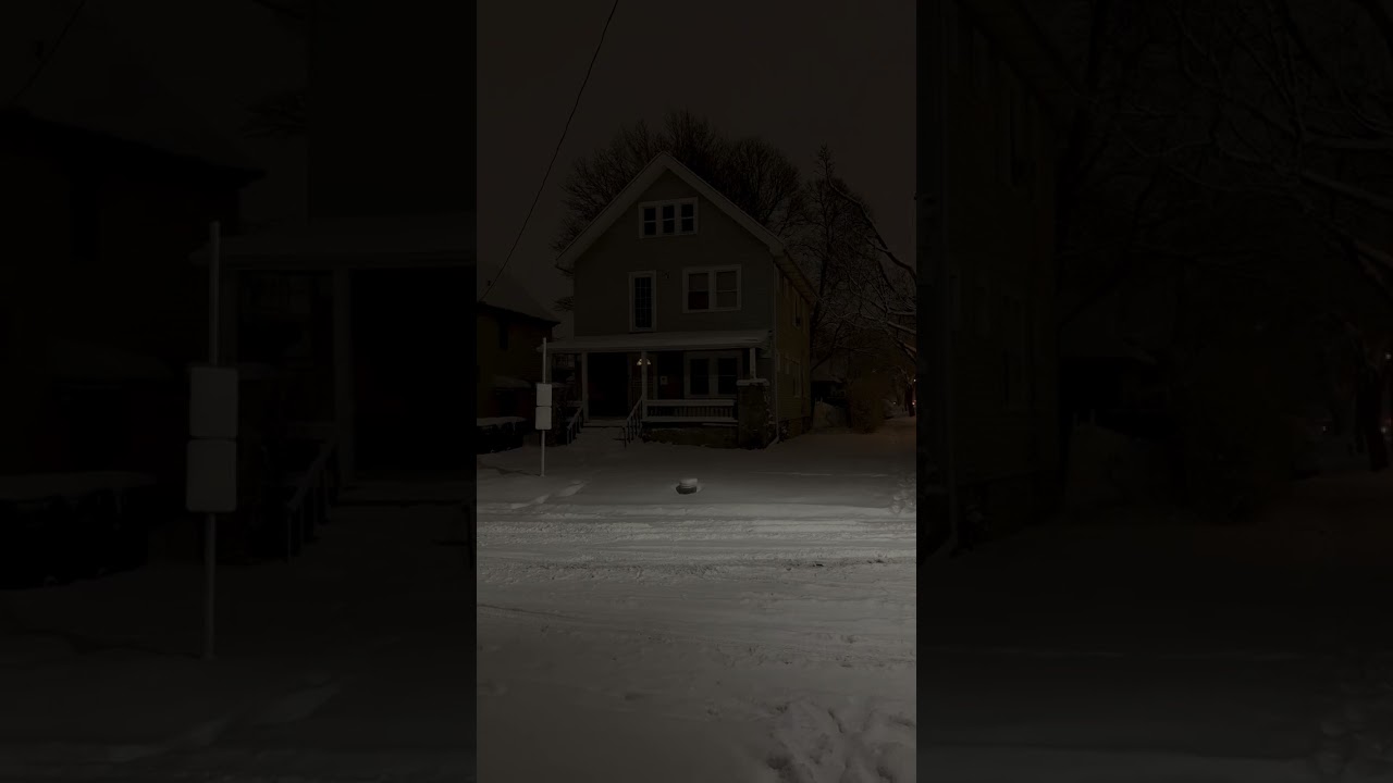 My neighbour is so Quiet ❄️