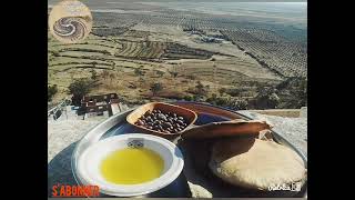 The most famous tourist places in Tunisia 2022 اشهر الاماكن السياحية في تونس 2022