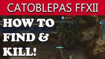 Final Fantasy XII The Zodiac Age How to Find & Kill CATOBLEPAS Hunt (PAYING FOR THE PAST Guide)