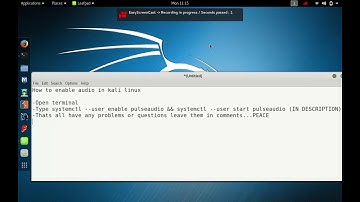 How to Enable Audio in Kali Linux