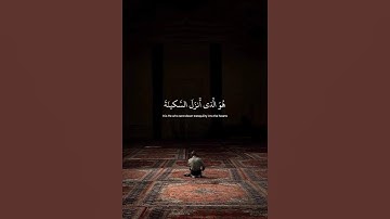 تلاوة جميلة للقرآن الكريم| القارئ عبدالرحمن مسعد| #قران_كريم  #quran  #quranalkareem #تلاوة_القرآن