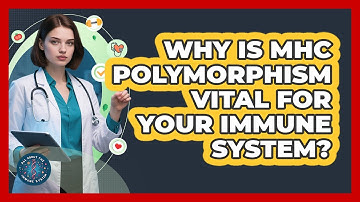 Why Is MHC Polymorphism Vital For Your Immune System? - All About the Immune System