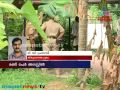 Theft actress Iniya's house arrest