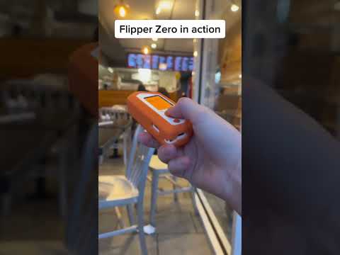 Flipper Zero Vs. McDonalds