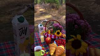 Пикник в Национальном парке Ала-Арча