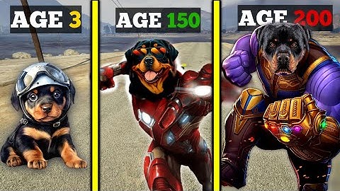 NOOB vs PRO vs HACKER In Dog Life Simulator | Funny gameplay 🤣 Ft.Oggy and Jack