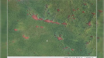 Corn crop damage segmentation with Deepness in QGIS