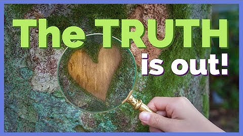 The Truth about The Belief Code, Body Code & Emotion Code 🔎