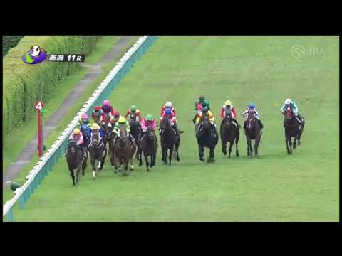 韋駄天ステークス 2021 パトロールビデオ 【タマモメイトウ】