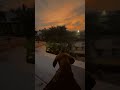 hello surya bhagavan🫣 #dog #dachshund #tamil #puppy
