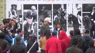 20140301第36屆中正杯馬術障礙賽140公分組 頒獎