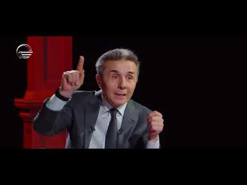 ელჩებს არცერთს კითხვა არ აქვს - ბიძინა ივანიშვილი