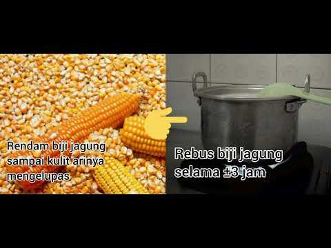 Langkah Proses Pembuatan Tempe Jagung Langkah Proses Pembuatan Tempe Jagung