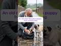 An old man rescues a puppy from a black bag #dog #rescue #hero #animals
