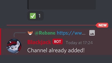 My YouTube archival setup, workflow and Discord bot