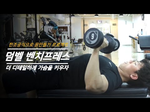 [한조 공식] 가슴운동 ! 좀더 디테일하게 덤벨 벤치프레스로 해봅시다