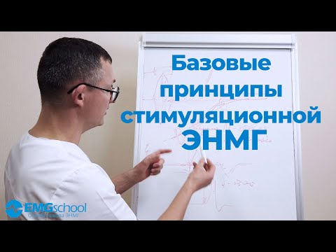 Базовые принципы стимуляционной ЭНМГ: исследование проведения по нерву