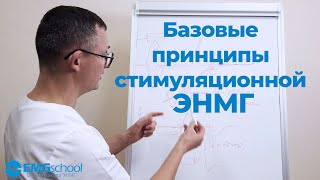 Базовые принципы стимуляционной ЭНМГ: исследование проведения по нерву