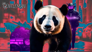 THE GENTLEMAN Official Music Video