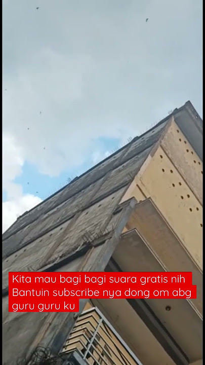 Mau sp andalan kita bantuin subscribe dong #petanimuda #waletindonesia #waletsukses #budidaya #rbw