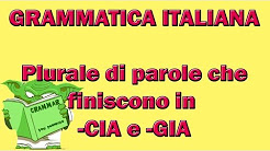 161. Plurale di parole che finiscono in -CIA e -GIA, Plurale regolare - Imparare l'Inglese, PLURALE DELLE PAROLE IN "-CIA", "-GIA" e "-SCIA" (esercizio), Grammatica italiana - Il singolare e il plurale dei nomi, l'articolo determinativo plurale in italiano
