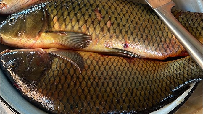 Орыс мастары блят видео