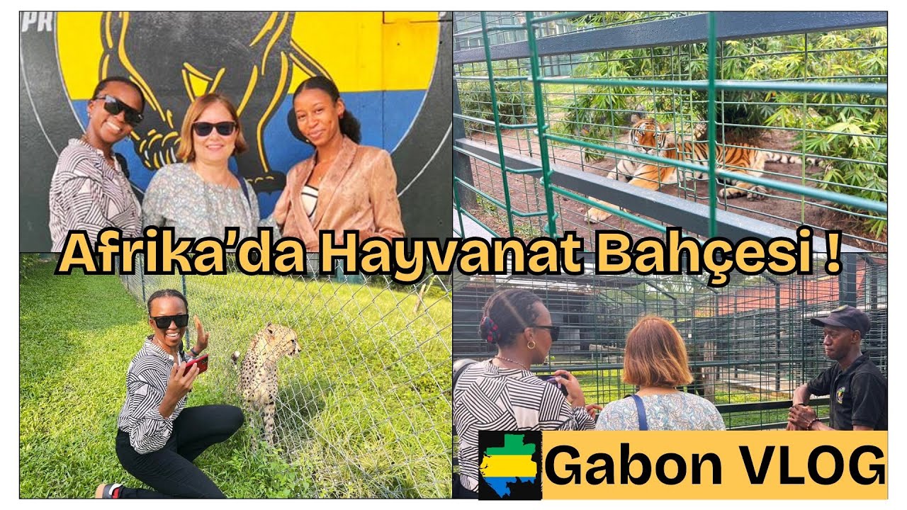 Türk Misafirimizle Gabon Hayvanat Bahçesi Gezisi 🦒🇬🇦 | Visit Gabon | Ep 16